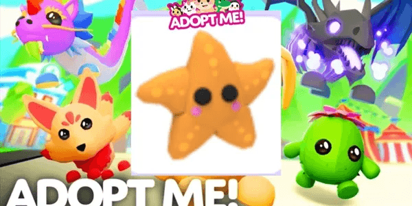 Starfish
