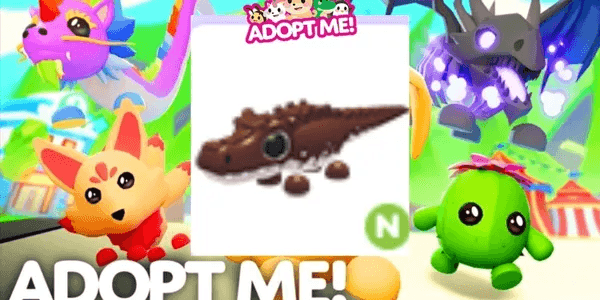 Cocoadile N
