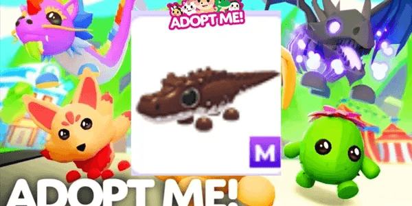 Cocoadile M