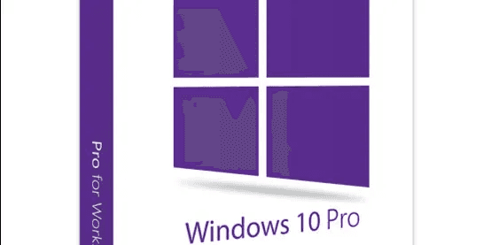 Microsoft Windows 10 Professional - 1 Device Lifetime