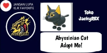 Abyssinian Cat