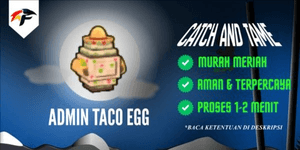 Admin Taco Egg - Catch And Tame!