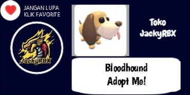 Bloodhound