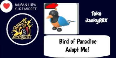 Bird of Paradise