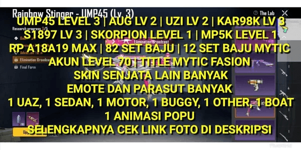 PUBG ACCOUNT 2 RP MAX