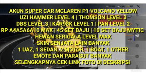 PUBG SKIN SUPER CAR