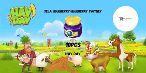 Blueberry Jam/Blueberry Chutney 10pcs