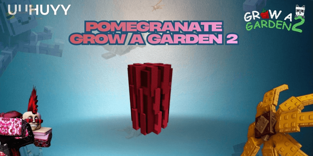 Product Showcase