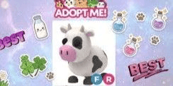 Cow FR
