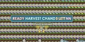 WORLD CHAND FULL READY HARVEST 5 LETT NO NUMBER