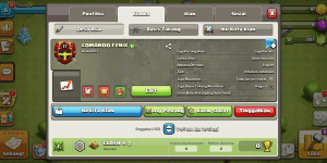 Clan Level 17 COOL NICK READY FOR WAR