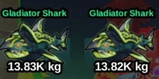 Gambar Product Gladiator Shark