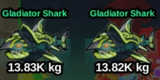 Gladiator Shark
