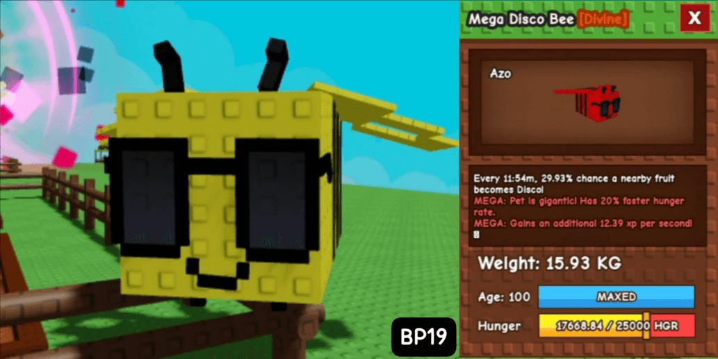 Product Showcase