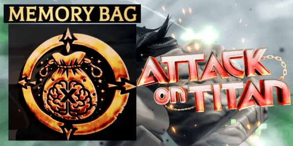 Memory Bag