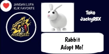 Rabbit