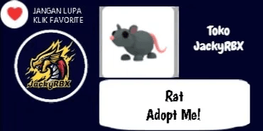 Rat