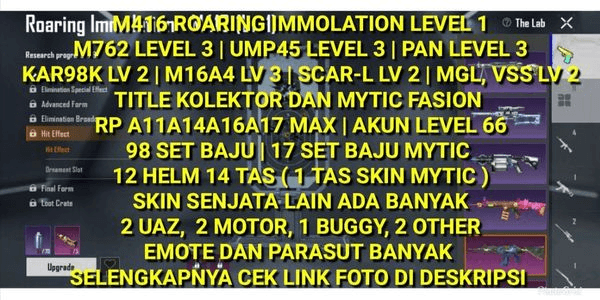 Gambar Product M416 ROARING IMMOLATION