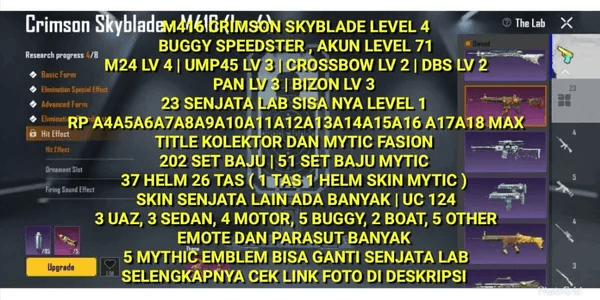 M416 CRIMSON SKYBLADE | BUGGY SPEEDSTER | 202 OUTFIT SET | 15 RP MAX | 23 LAB WEAPONS