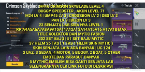 M416 CRIMSON SKYBLADE | BUGGY SPEEDSTER | 202 OUTFIT SET | 15 RP MAX | 23 LAB WEAPONS