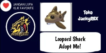 Leopard Shark