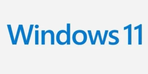 Microsoft Windows 11 Professional - 1 Device Lifetime
