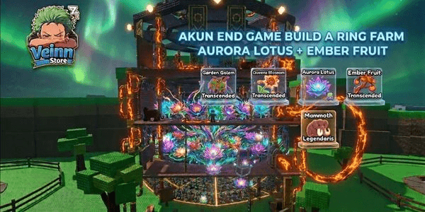 Gambar Product Akun Build A Ring Farm | Aurora Lotus + Ember Fruit Money 20Qn