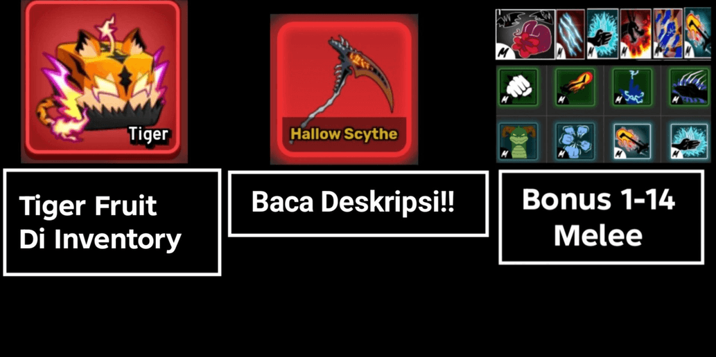 Product Showcase