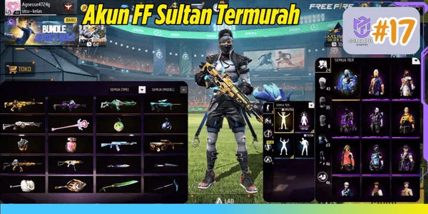 FREE FIRE ACCOUNT AS PER PHOTO #17