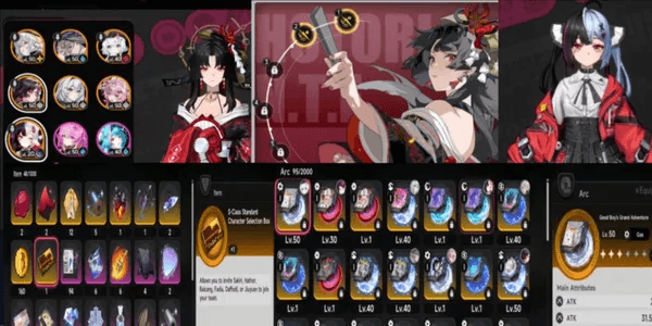 Neverness To Everness Account With S Class Character [SEA]