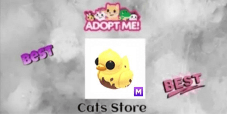 Product Showcase