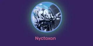 Nyctoxon