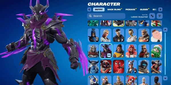 Fortnite Account ALL PLATFORMS EMAIL CHANGEABLE #2