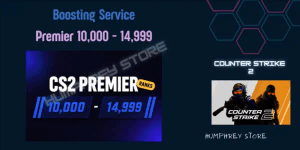 10k - 15k Premier - CS2