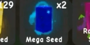 Mega Seed