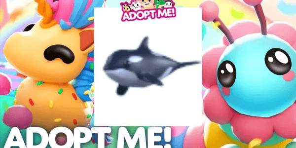 Orca