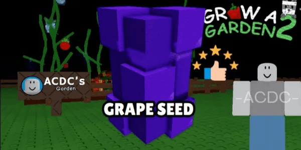 Grape