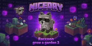 Raccoon
