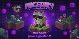 Raccoon