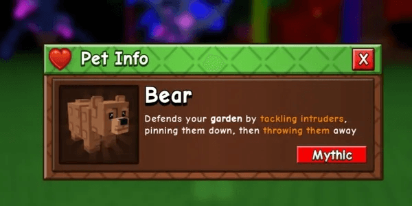 Bear