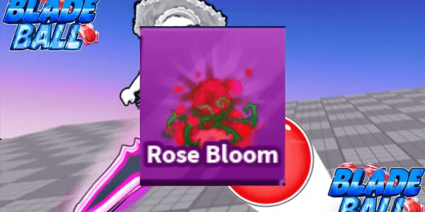 Rose Bloom