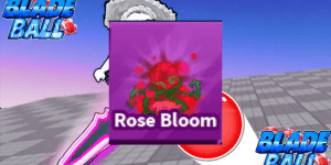 Rose Bloom
