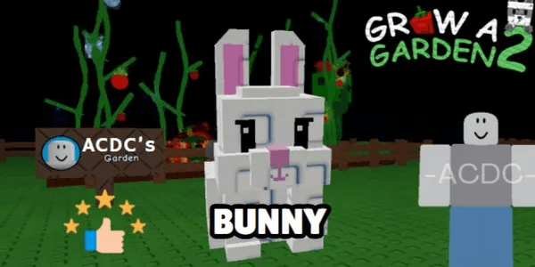 Bunny