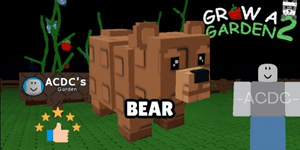 Bear