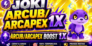 BOOST ARCUB/ARCAPEX 1X - EVOMON