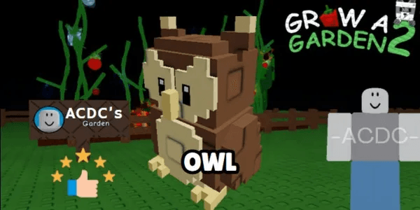 Owl
