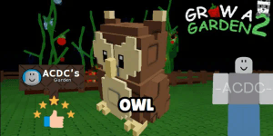 Owl