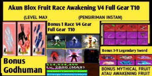 BLOX FRUIT RACE AWAKENING V4 FULL GEAR T10 (LEVELMAX) (DATPOL) ACCOUNT LOTS OF BONUSES