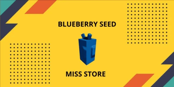 Blueberry