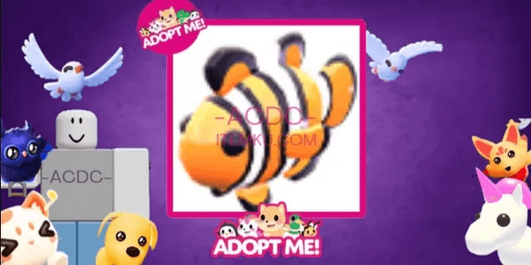 Clownfish